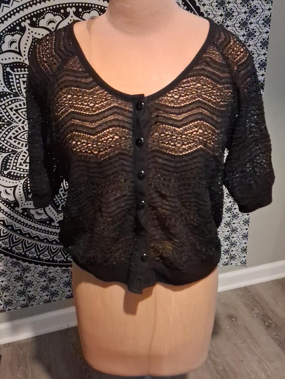 Studio Black Sheer Crochet Button-Front Crop Top
